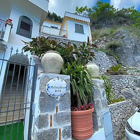 住宿加早餐酒店 Matteo's House