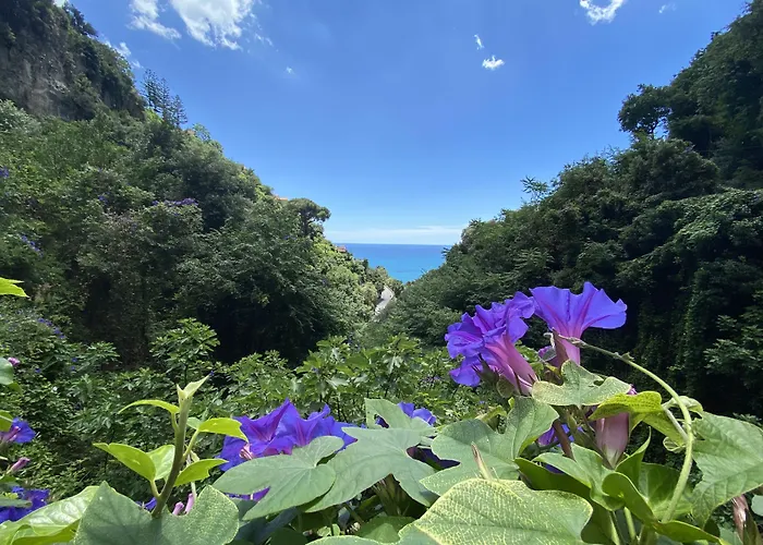 Matteo's House 阿马尔菲